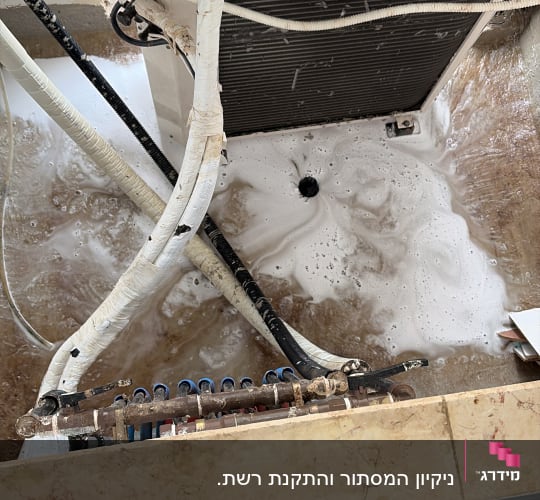 ניקוי וחיטוי בלחץ מים במסתור כביסה עם רשת נגד יונים
